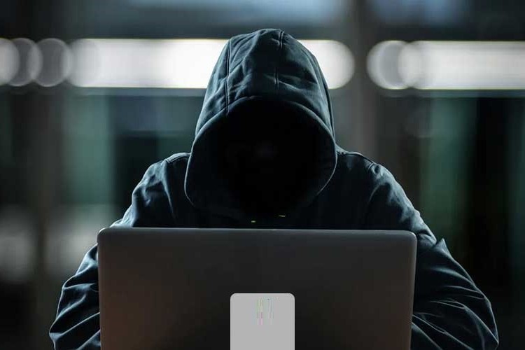 همسر سابق بازیگر سینما با پول «کمک به حیوانات» ماشین خرید!