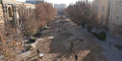 آغاز رویداد «پاییز-برگ» با ۴۱ اثر هنری